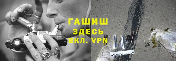 сатива Аркадак