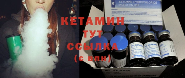 сатива Аркадак
