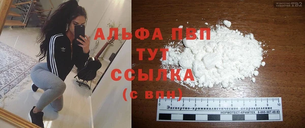 сатива Аркадак