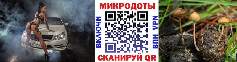 Галлюциногенные грибы Cubensis  Макарьев 